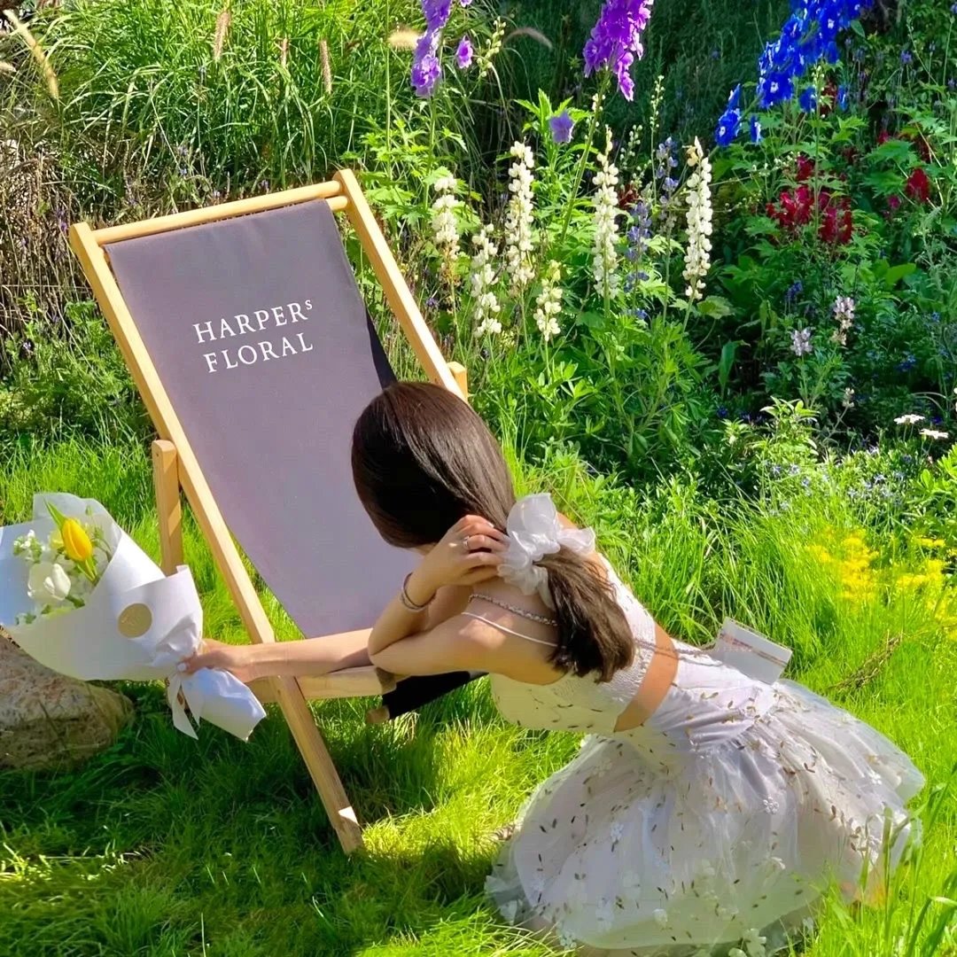 看了又看国语第五部