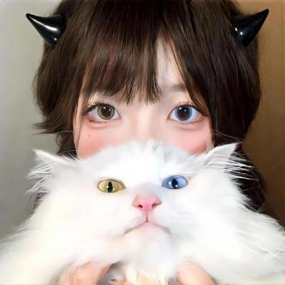 我愿南风知晚意